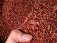 Cách dùng gạo lứt huyết rồng Export